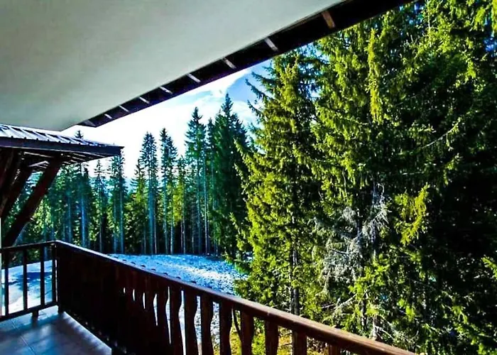 луксозен мечи чал - манастира 2